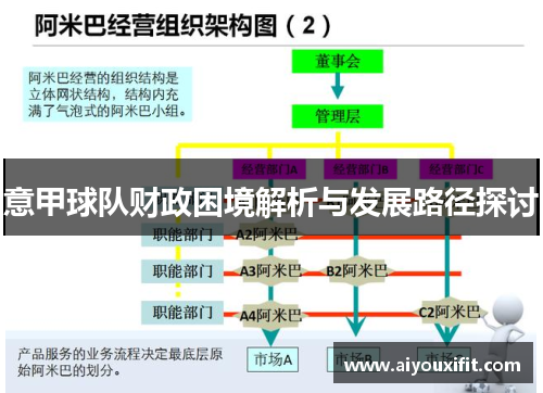意甲球队财政困境解析与发展路径探讨